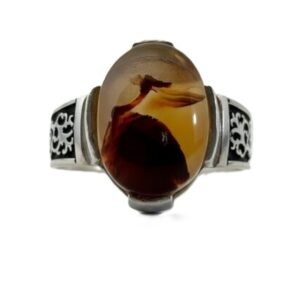 yemeni "illustrative heritage" sterling silver ring the dignity agate
